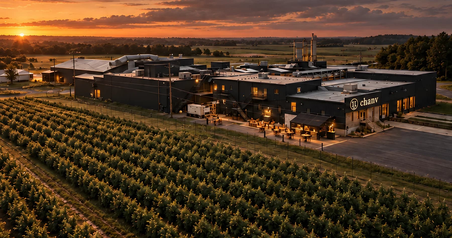 Vue aérienne des installations du Groupe Chanv au coucher du soleil, bordées de rangs de chanvre.