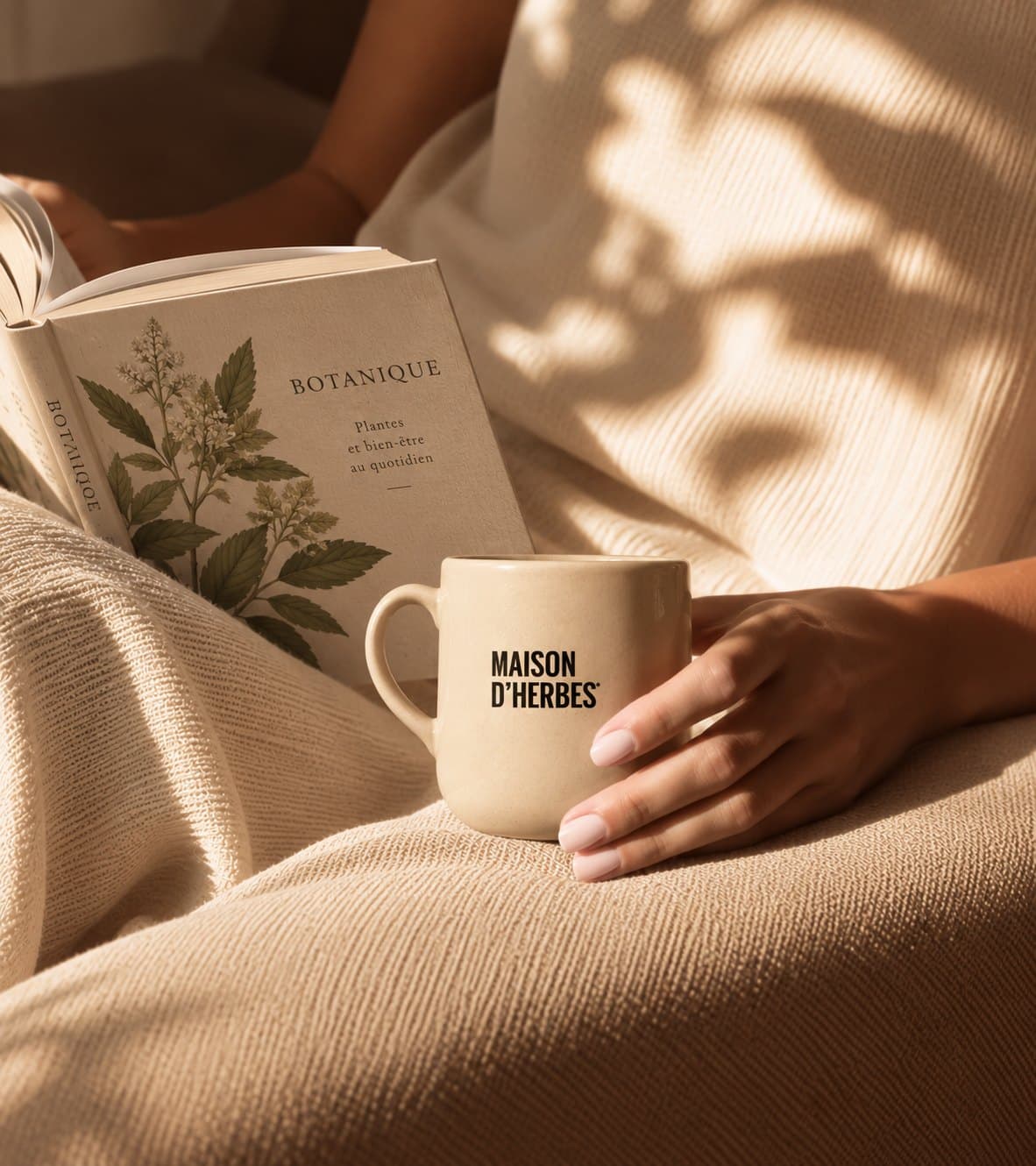 A hand resting on a Maison d’Herbes mug beside a botany book, in morning light.