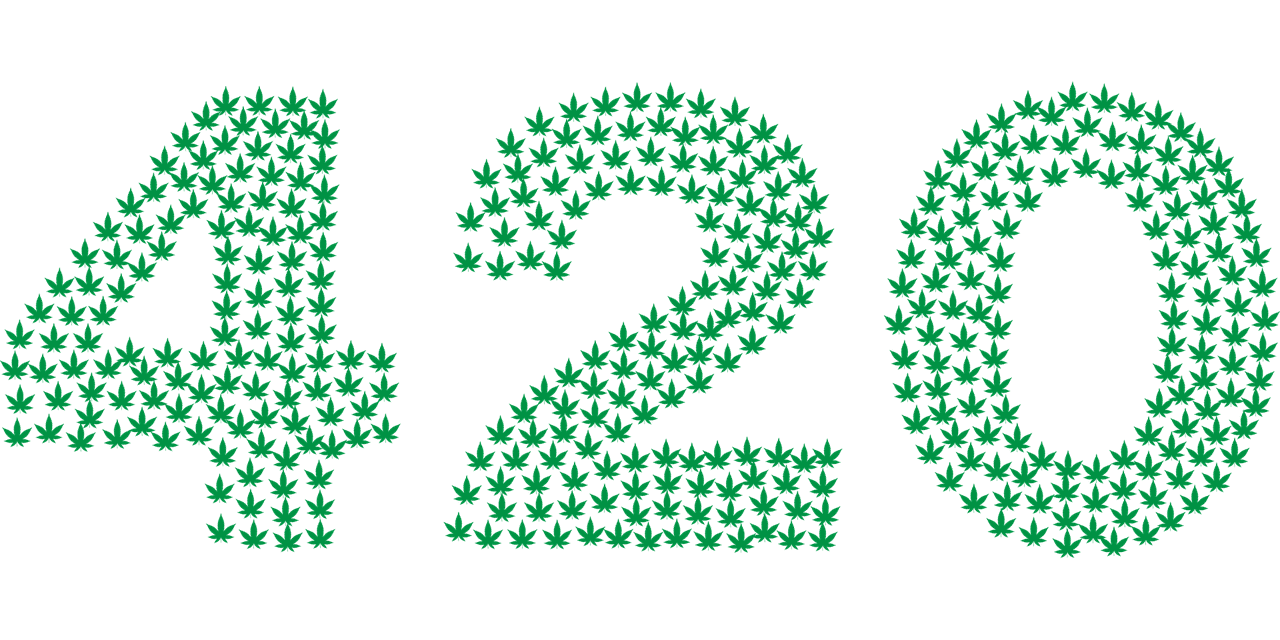 420 - Le nombre fétiche des fumeurs de cannabis