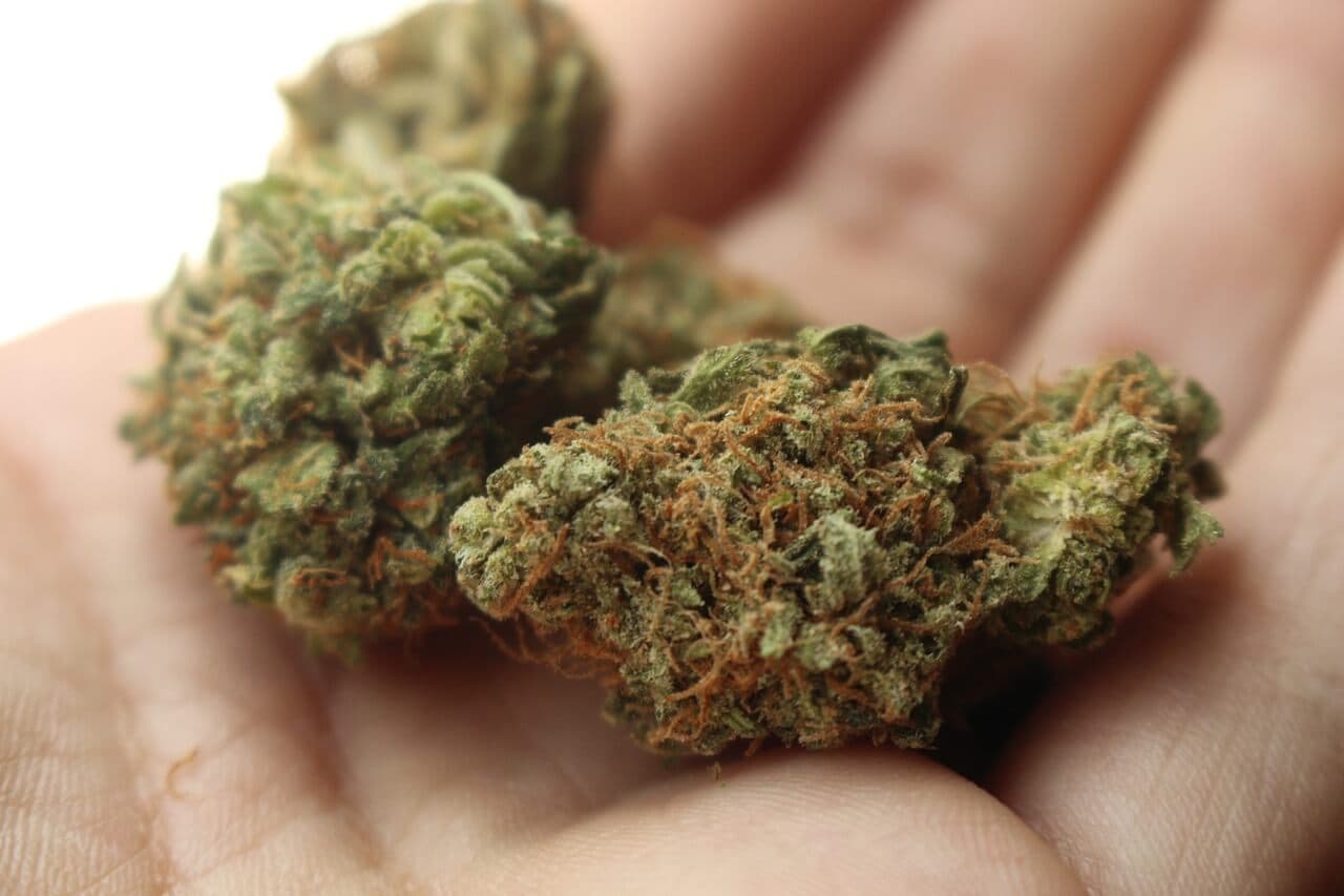 Découvrir le cannabis de façon sécuritaire
