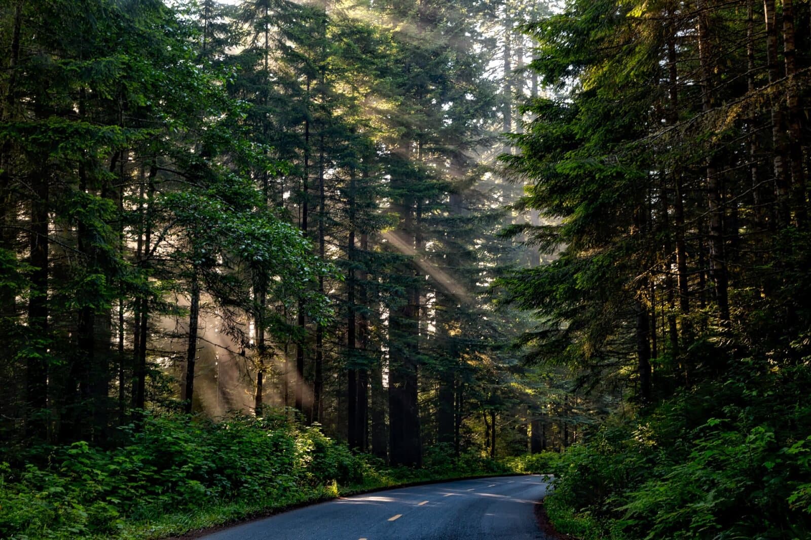 Tout baigne sur les routes de la Colombie-Britannique