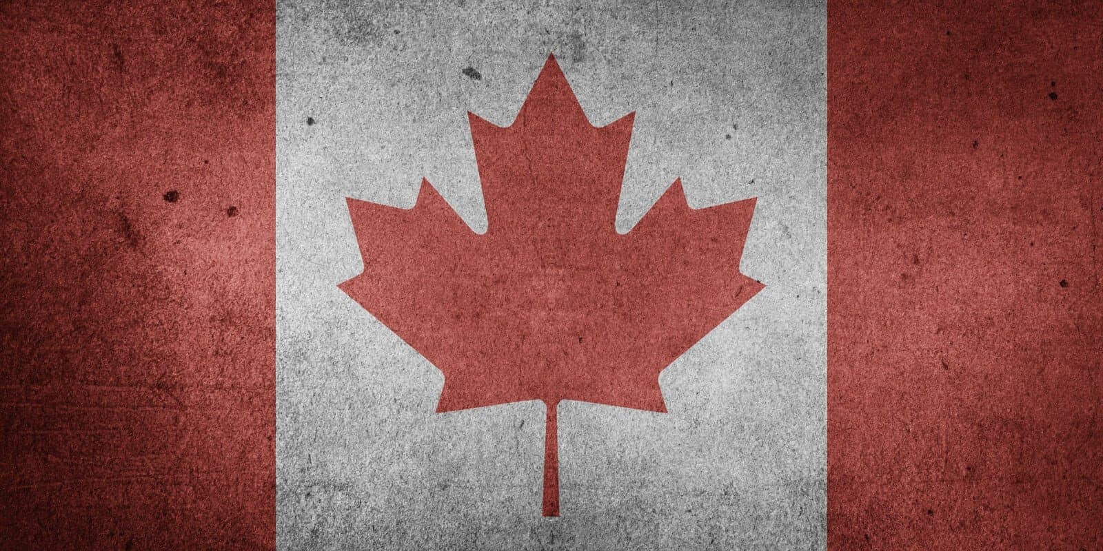 Un portrait de la consommation du cannabis au Canada