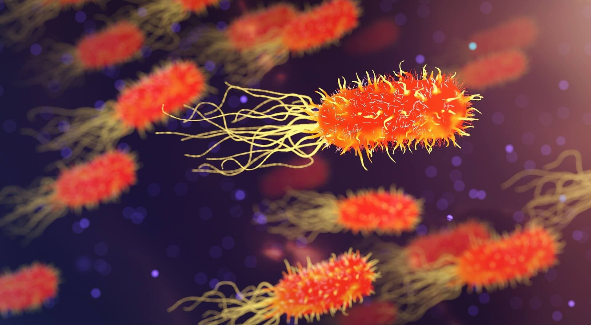 Le cannabidiol, l’antibiotique du futur?