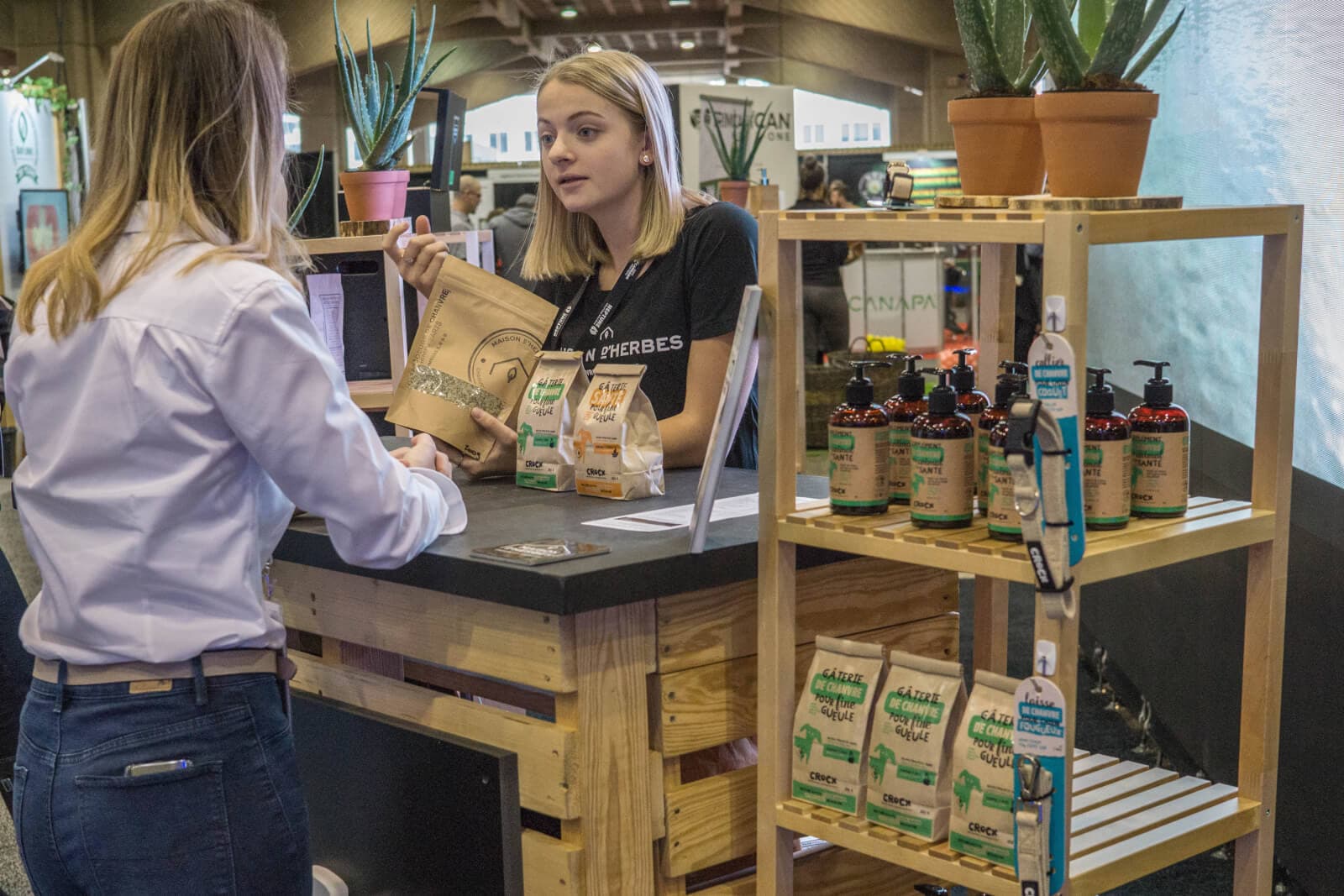 Une exposition québécoise dédiée au cannabis